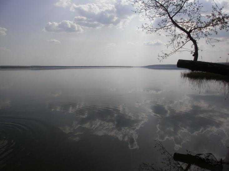 Рубці з panoramio.com - Рубцы