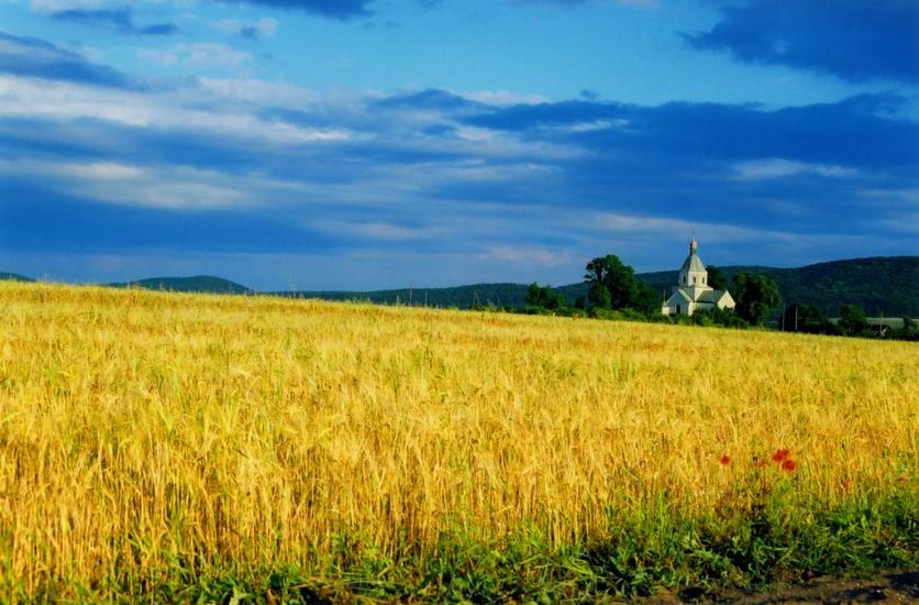 Черемошня з panoramio.com - Черемошня