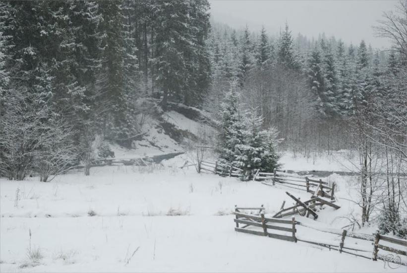 Згари з panoramio.com - Згары
