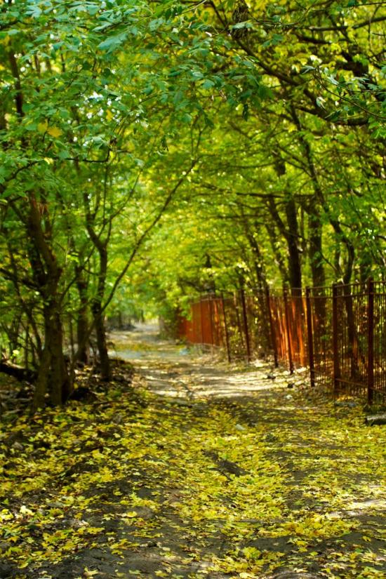 Орлівщина з panoramio.com - Орловщина