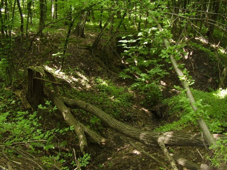 Коржівці з panoramio.com - Korzhivtsi