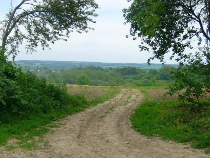 Коржівці з panoramio.com - Коржевцы