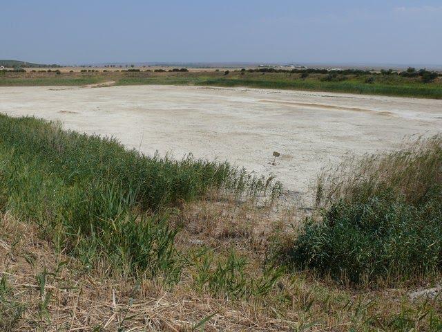 Віліне з panoramio.com - Віліне