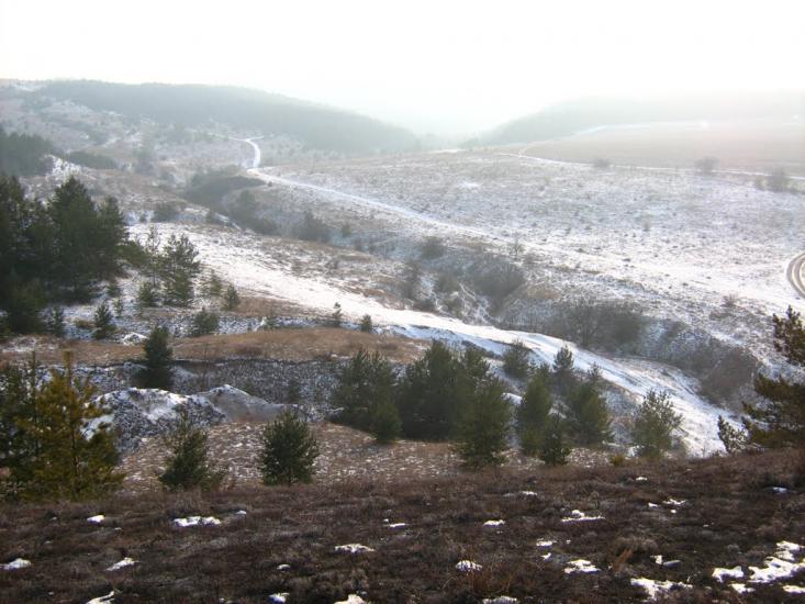 Крива Лука з panoramio.com - Крива Лука