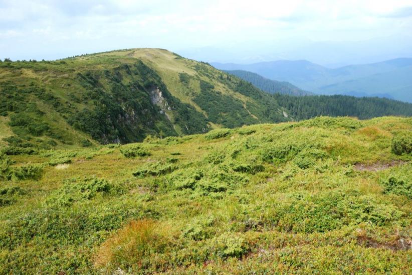 Бребоя з panoramio.com - Breboya