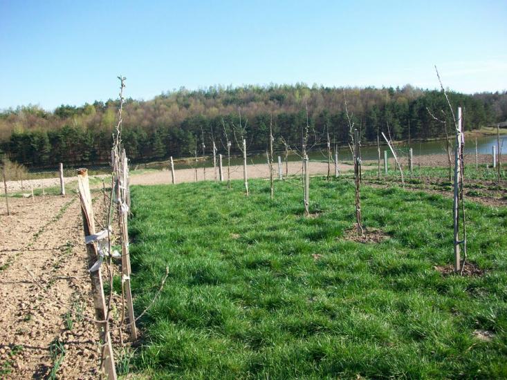 Ковалівка з panoramio.com - Ковалівка