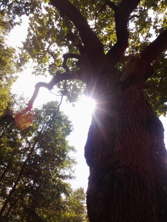 Слободяки з panoramio.com - Слободяки