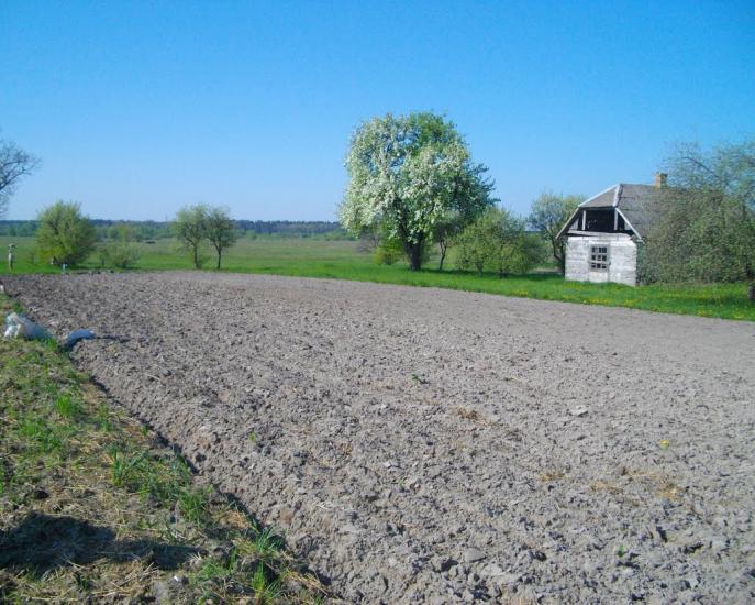 Озеро з panoramio.com - Озеро