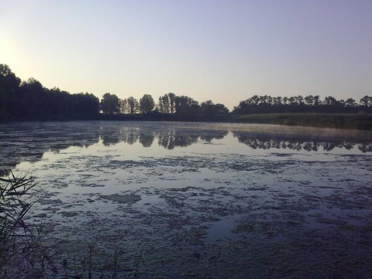 Гоголів з panoramio.com - Гоголев