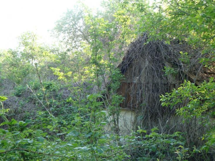 Дацьки з panoramio.com - Дацьки