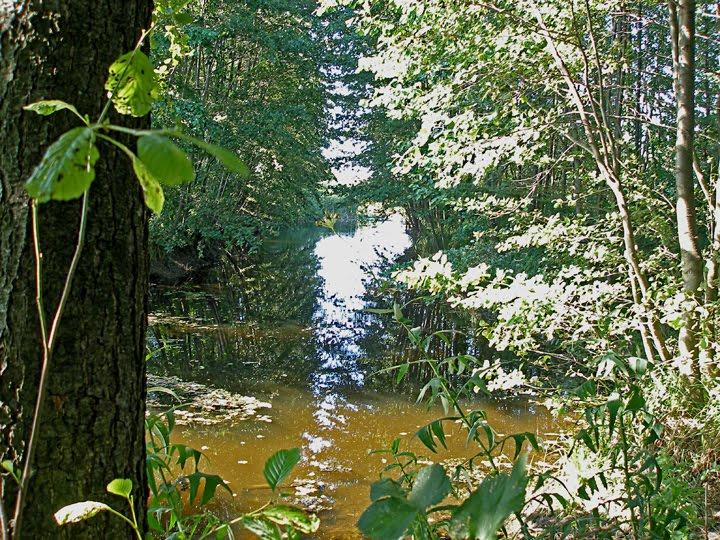 Литвинівка з panoramio.com - Литвиновка