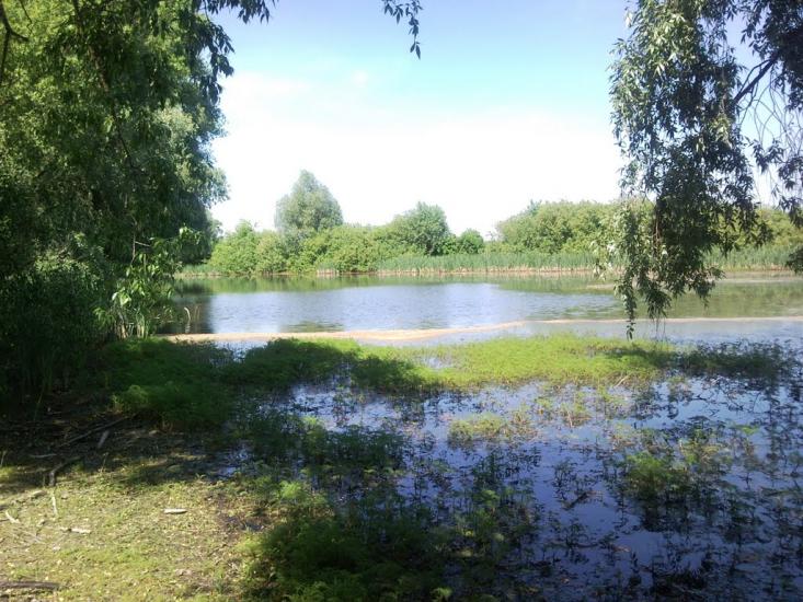 Кошари з panoramio.com - Кошары