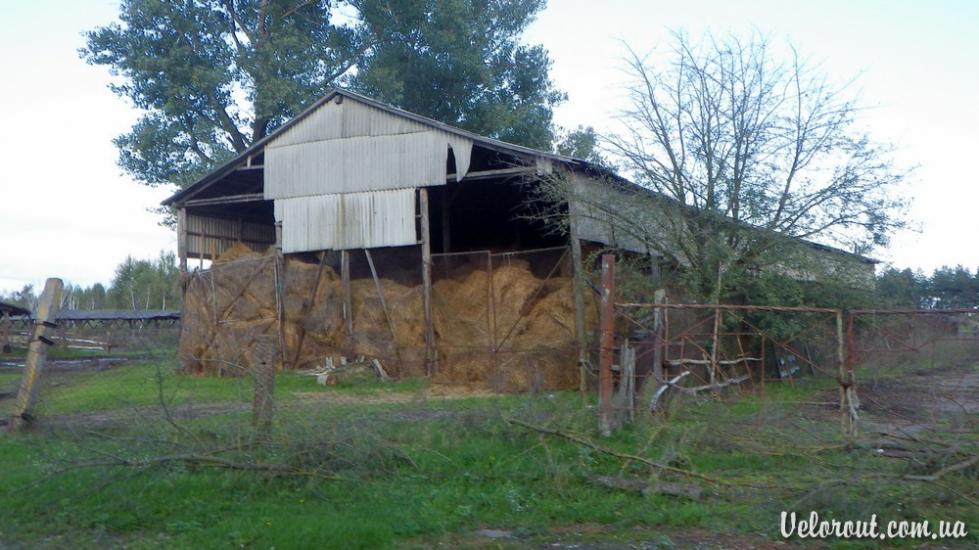 Липники з panoramio.com - Липники