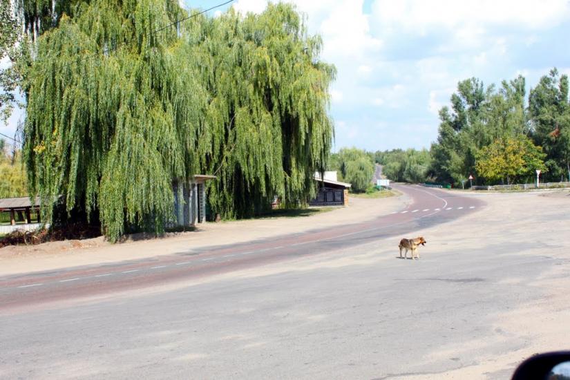 Устя з panoramio.com - Устя