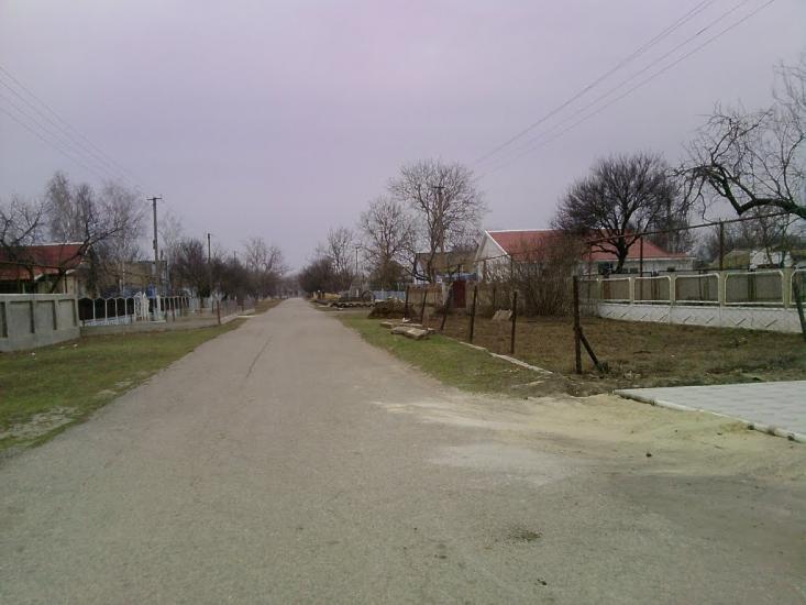 Ботанічне з panoramio.com - Ботанічне