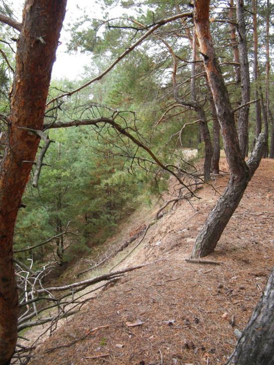 Вільхуватка з panoramio.com - Вільхуватка