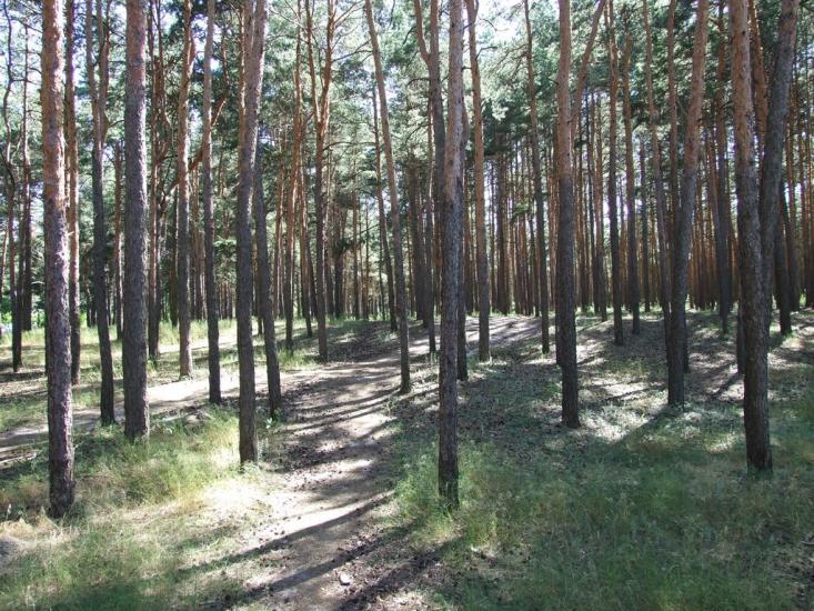 Огірцеве з panoramio.com - Огурцово