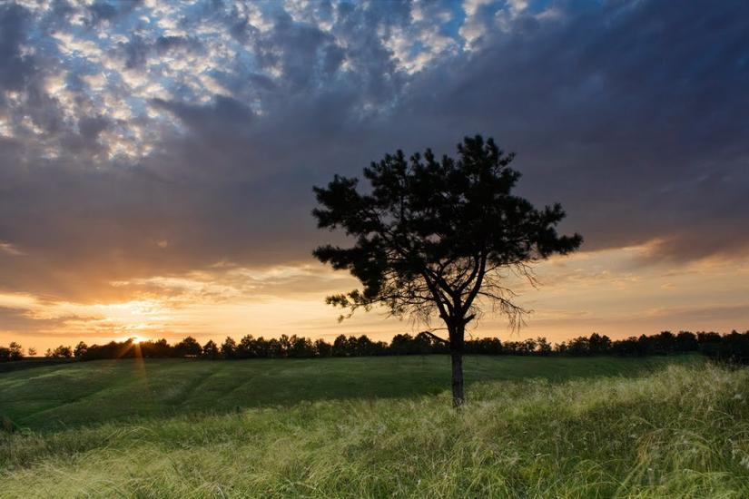 Вовчанськ з panoramio.com - Волчанск
