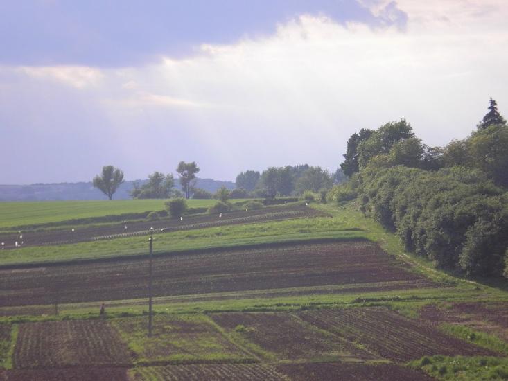 Муроване з panoramio.com - Мурованое