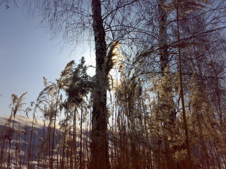Камінь-Каширський з panoramio.com - Камінь-Каширський