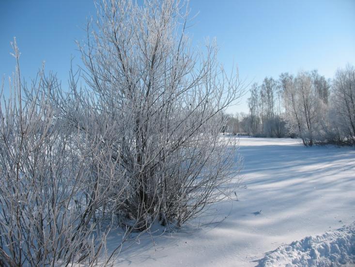 Осіч з panoramio.com - Osich