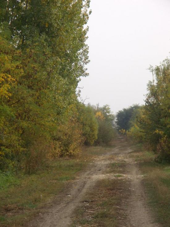 Попово з panoramio.com - Попово