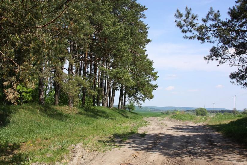 Жуличі з panoramio.com - Жуличі