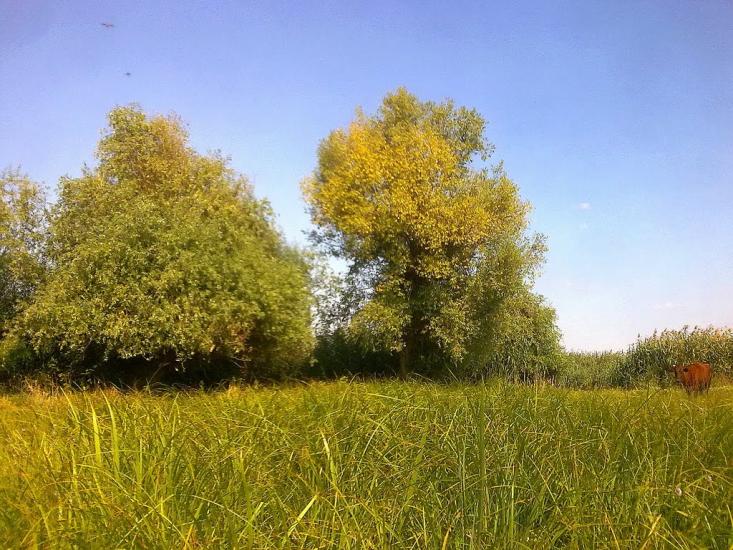 Кринки з panoramio.com - Кринки
