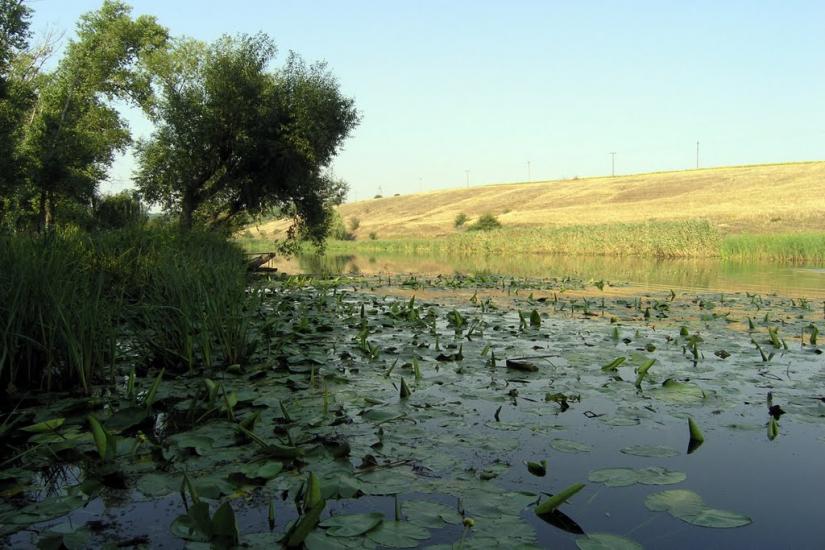 Новоархангельськ з panoramio.com - Новоархангельск