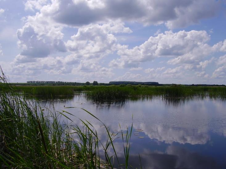 Гатна з panoramio.com - Гатна