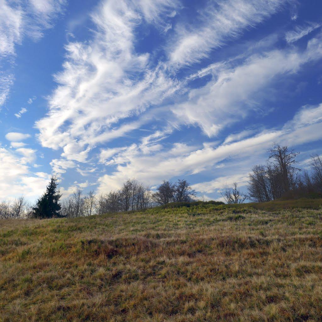 Кваси з panoramio.com - Квасы