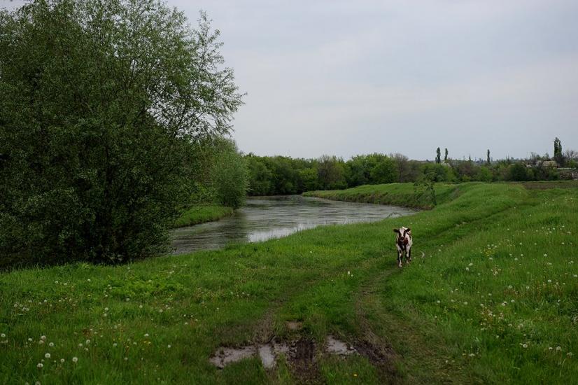 Сіверськ з panoramio.com - Северск