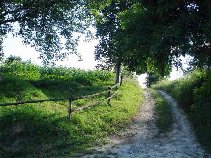 Словіта з panoramio.com - Словита