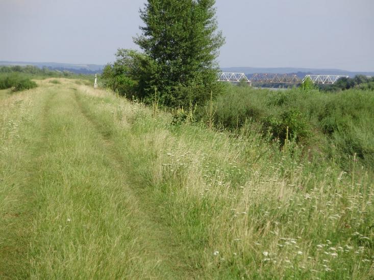 Дубівці з panoramio.com - Dubivtsi