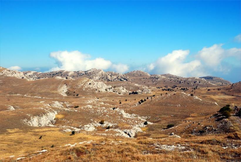 Запрудне з panoramio.com - Запрудне
