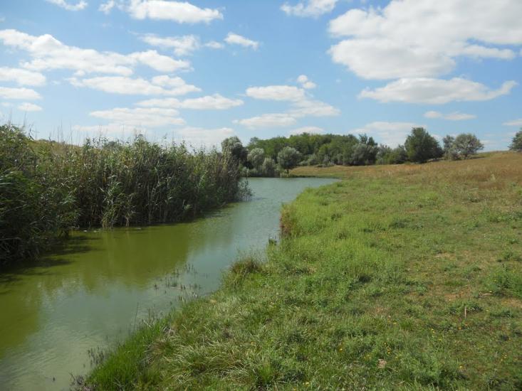 Шевченківка з panoramio.com - Shevchenkivka