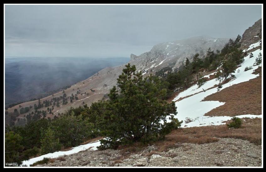 Підгородне з panoramio.com - Pidgorodne