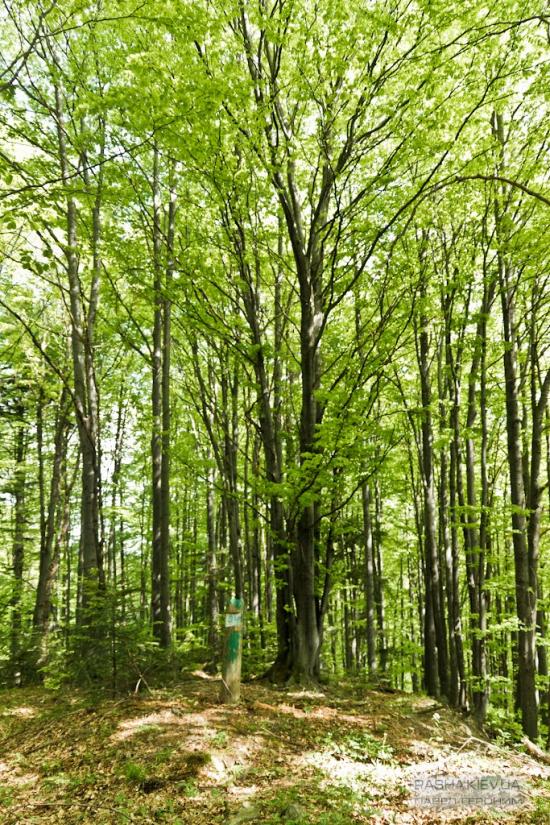 Манява з panoramio.com - Манява