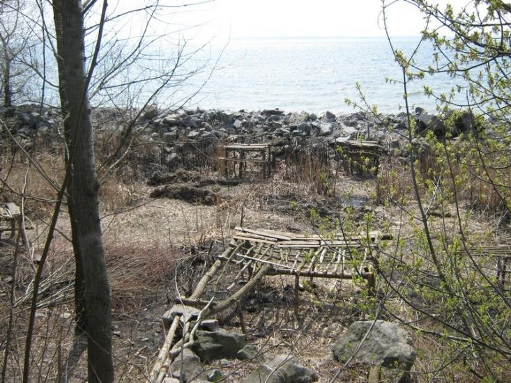 Максимівка з panoramio.com - Максимівка