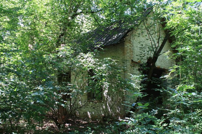 Велика Бурімка з panoramio.com - Великая Буромка