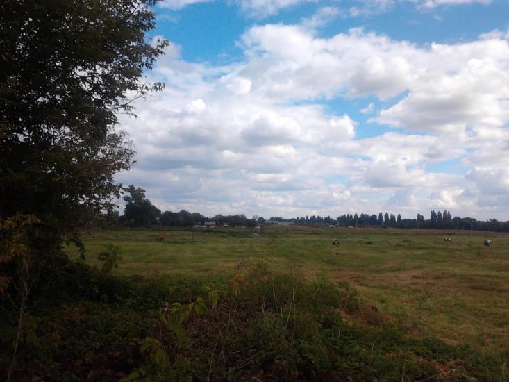 Березань з panoramio.com - Березань