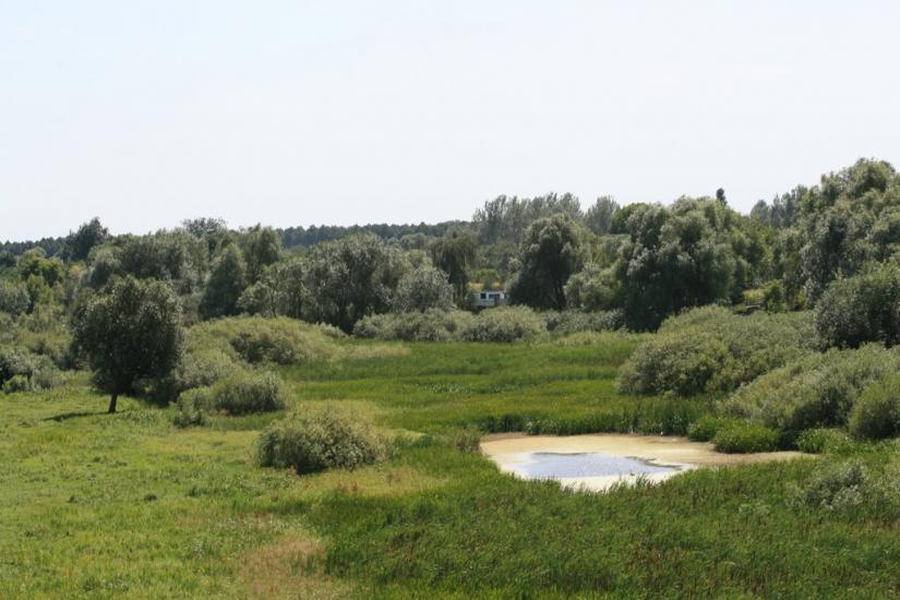 Хомутець з panoramio.com - Khomutets
