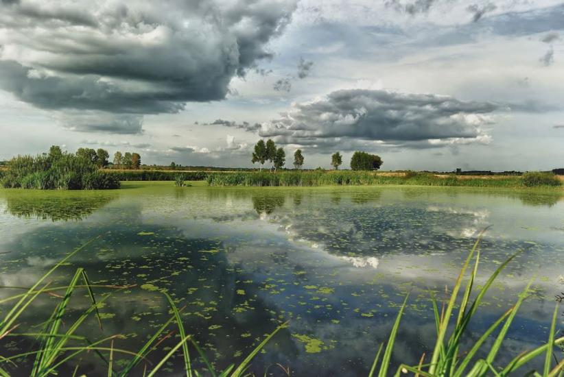 Сороки-Львівські з panoramio.com - Soroky-Lvivski