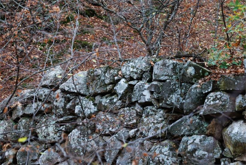 Міжріччя з panoramio.com - Междуречье