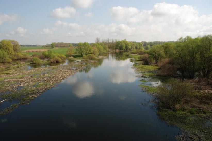 Байрак з panoramio.com - Байрак