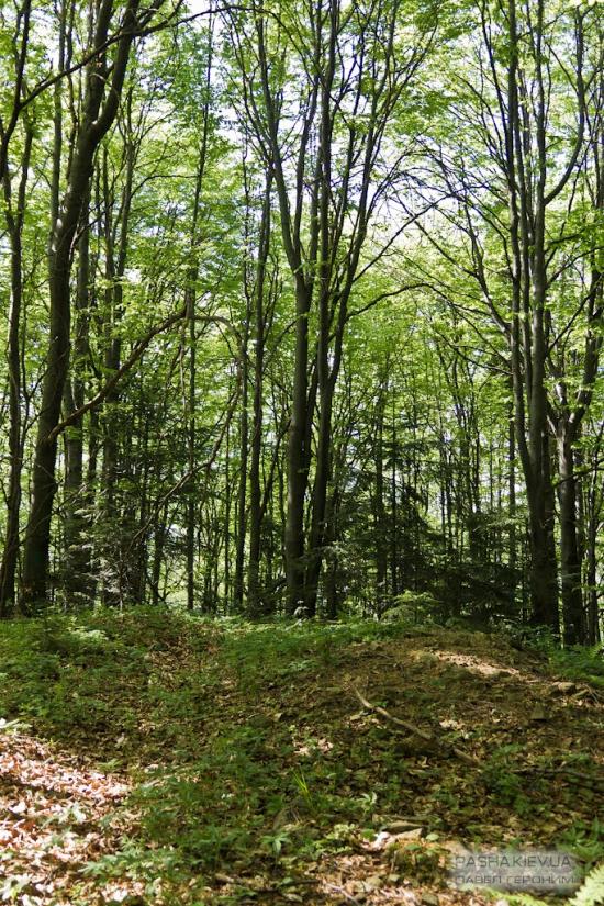 Манява з panoramio.com - Манява