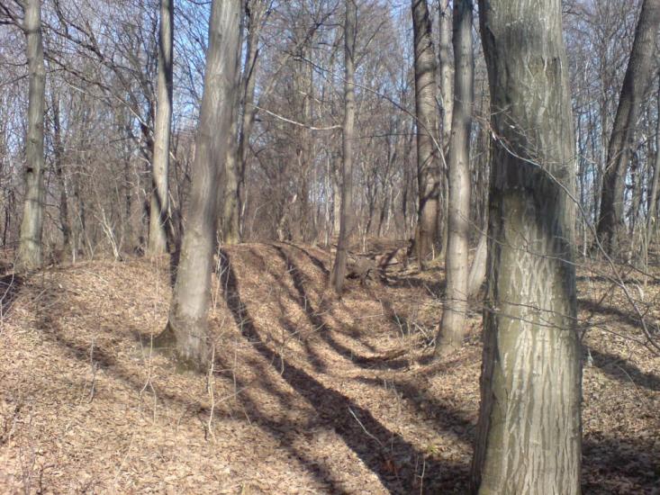 Нестерівці з panoramio.com - Нестерівці