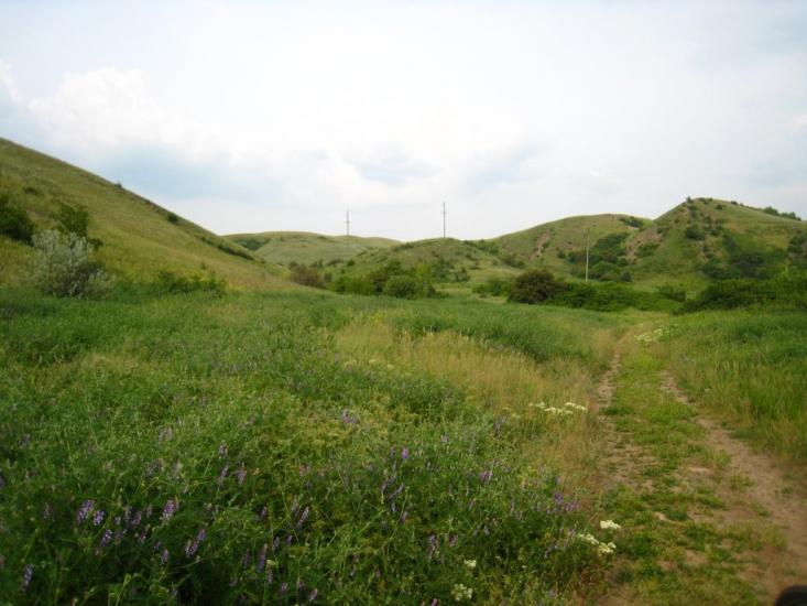 Верхня Оріхівка з panoramio.com - Верхня Оріхівка