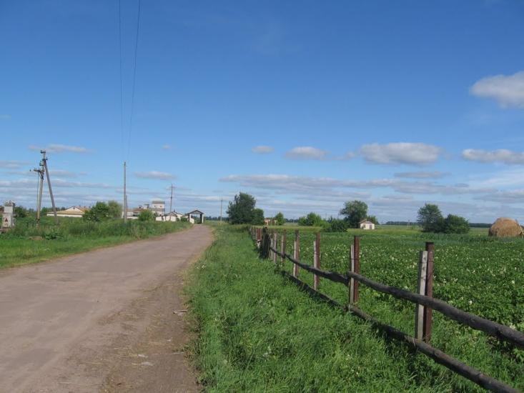 Роїще з panoramio.com - Роїще