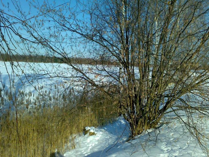 Камінь-Каширський з panoramio.com - Камінь-Каширський